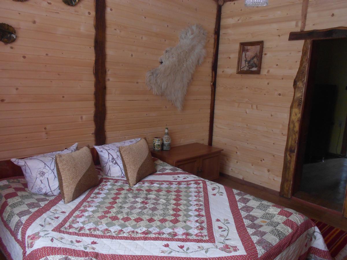 Sadyba Karpatskyi Vedmid Kossiv Extérieur photo